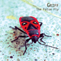 False Fly
